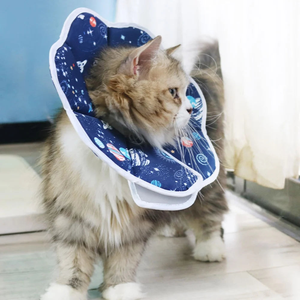 Cat Elizabethan Collar, Anti-Bite/Lick, Cats Protective Neck Collar