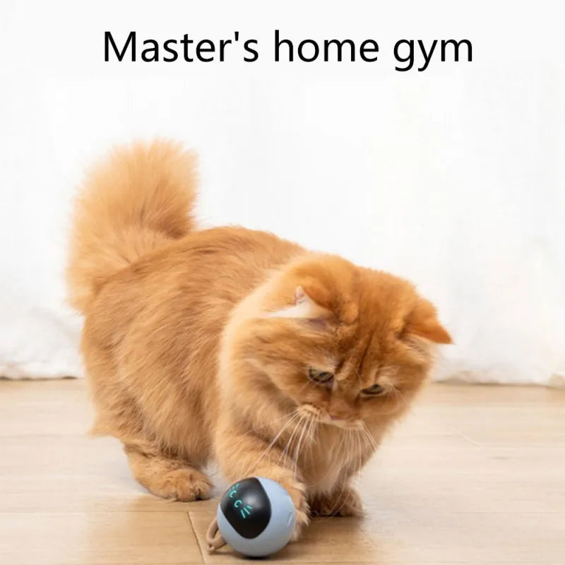 Smart Cat Toy, USB Rechargeable Automatic Ball, Self Rotating 