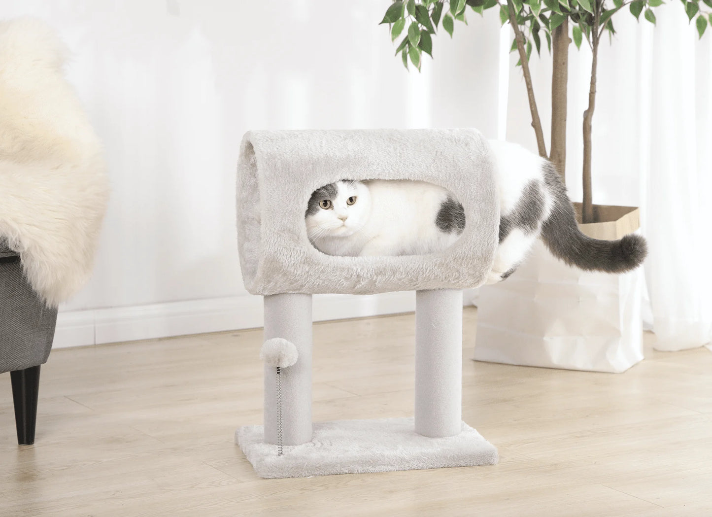 Elevated Cat Tunnel Bed