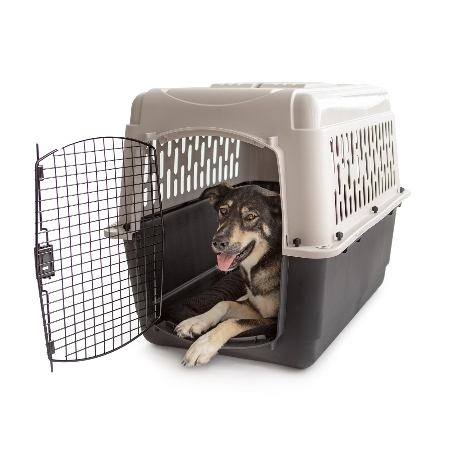 19" X-Small Plastic Crate Portable Carrier for Pets up to 10 Lbs