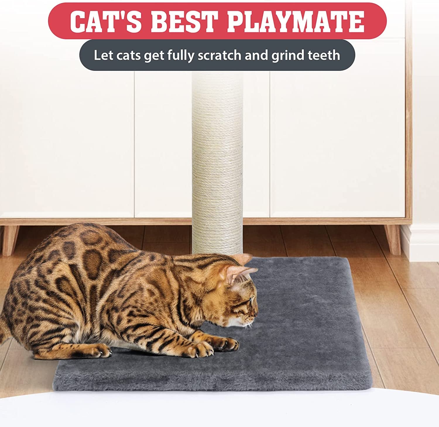 31'' Tall Cat Scratching Post - Cat Claw Scratcher with Hanging Ball - Scratching Posts for Indoor Large Cats 