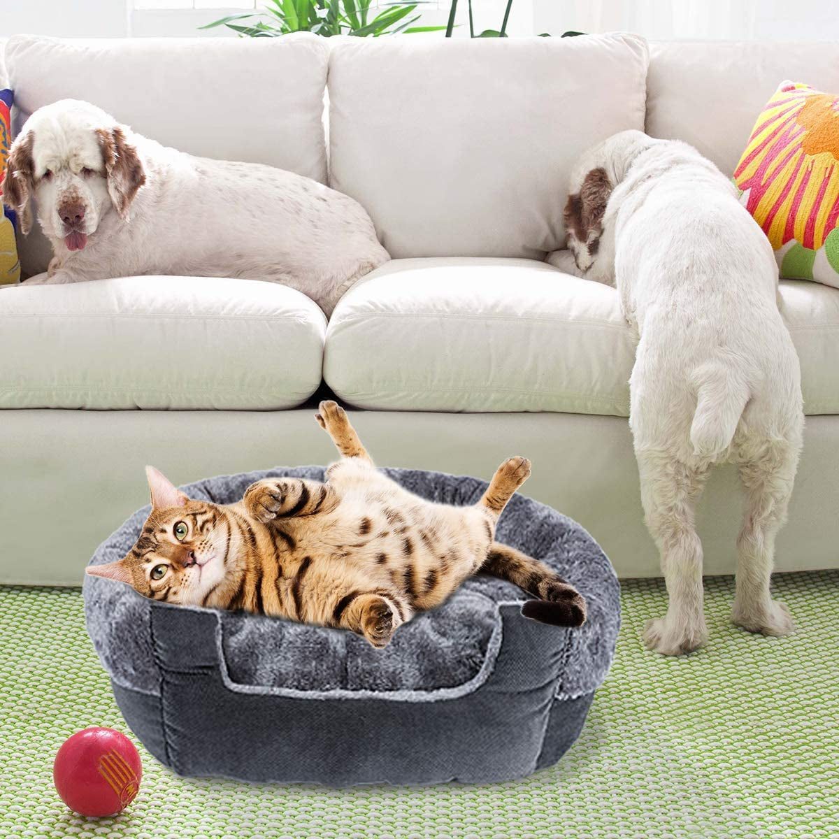 Faux Wool Microsuede Pet Bed, 20 X 20 X 7 In, Ideal for Indoor Cats 