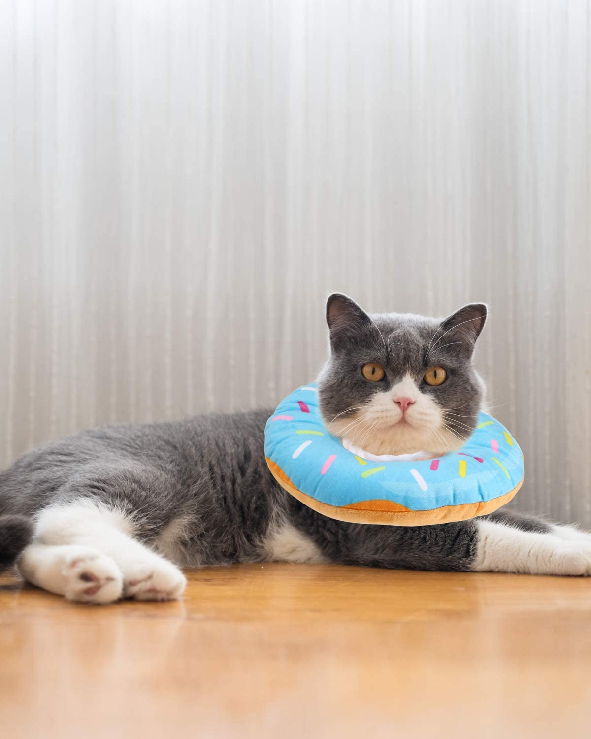 Adjustable Cat Recovery Cones, Wound Healing Protective Cone after Surgery 