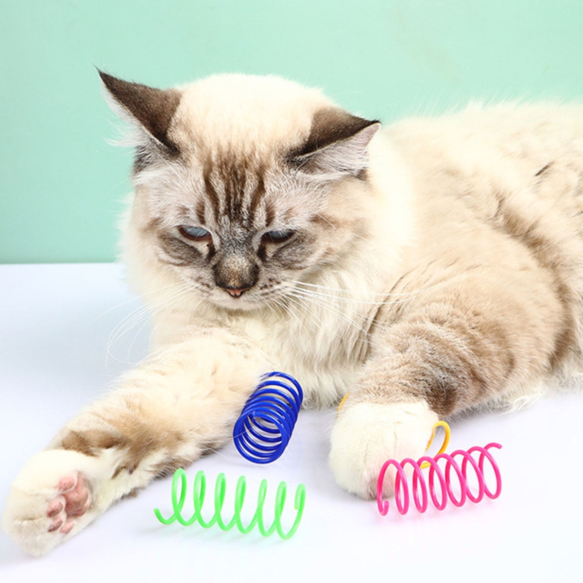 Colorful Springs Cat Toy, 16Pcs Cat Coil Toy, Durable Plastic Spiral Spring Cat Toy for Training