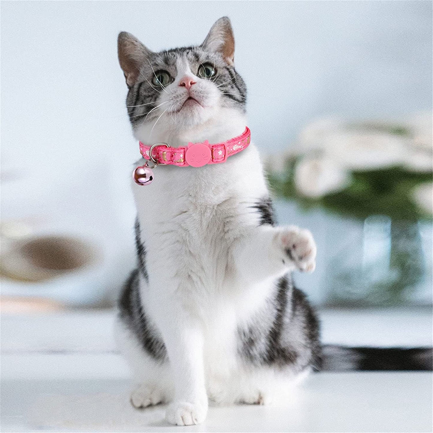 3 Pack Cat Collar, Breakaway Kitten Collar with Bell 