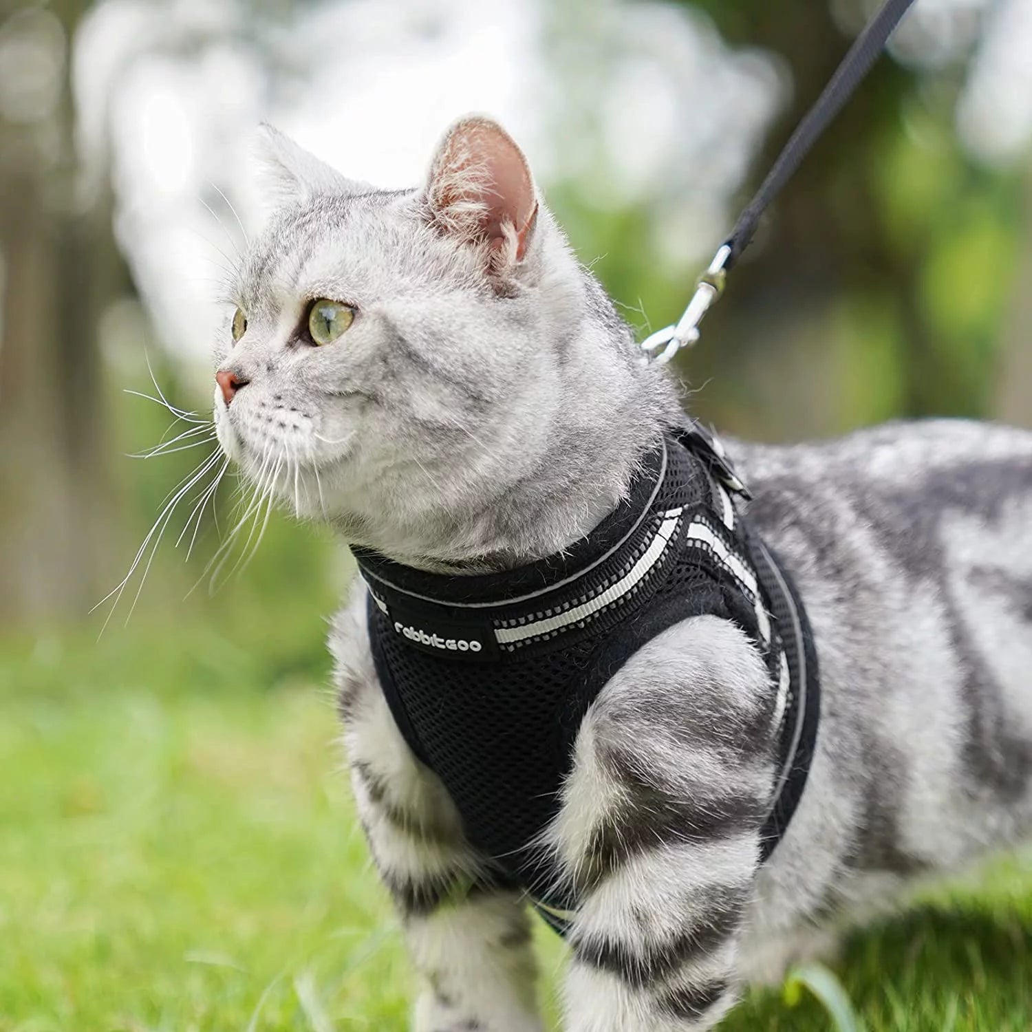 Cat Harness and Leash Set for Walking Escape Proof, Adjustable Soft Kittens Vest with Reflective Strip for Small Cats, Comfortable Outdoor Vest