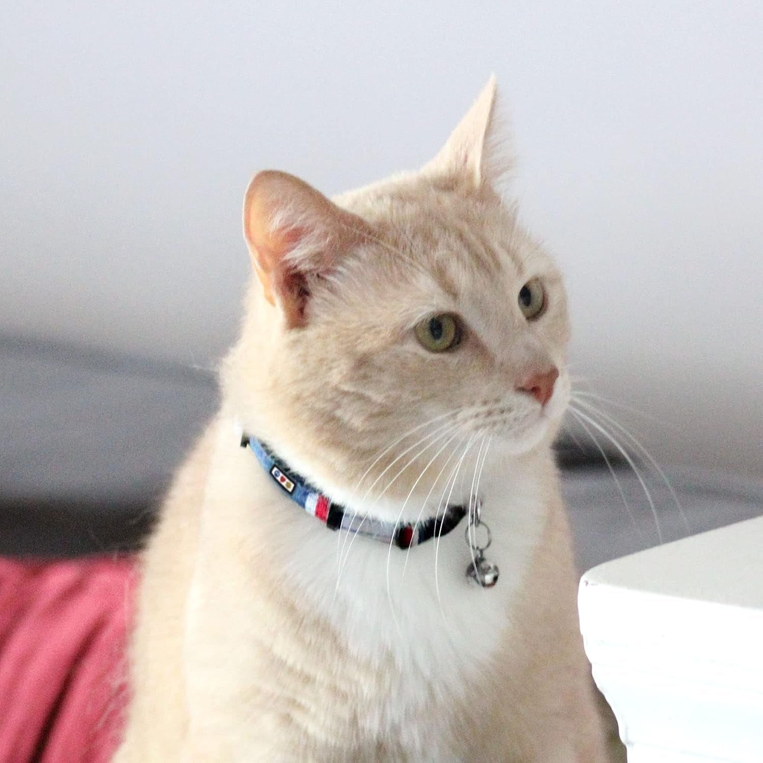 Pet Multicolor Cat Collar with Safety Buckle and Removable Bell 