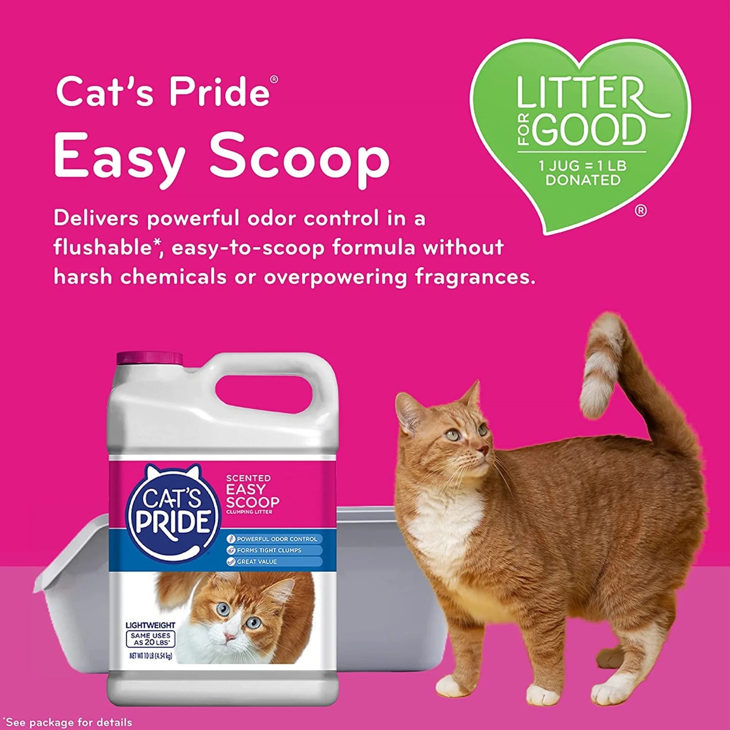 (2 Pack)  C01941-C60 10Lb Jug Cat Litter