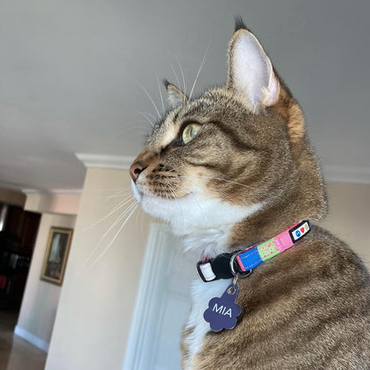 Pet Multicolor Cat Collar with Safety Buckle and Removable Bell 