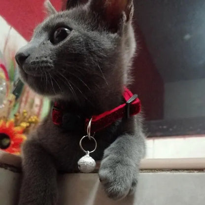 Cat Collar with Bell 