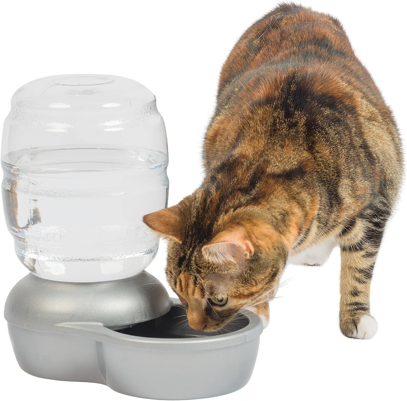 Replendish Automatic Gravity Waterer for Cats, Bpa-Free, No Batteries Required, Includes Charcoal Filter, 0.5 Gallon,Silver