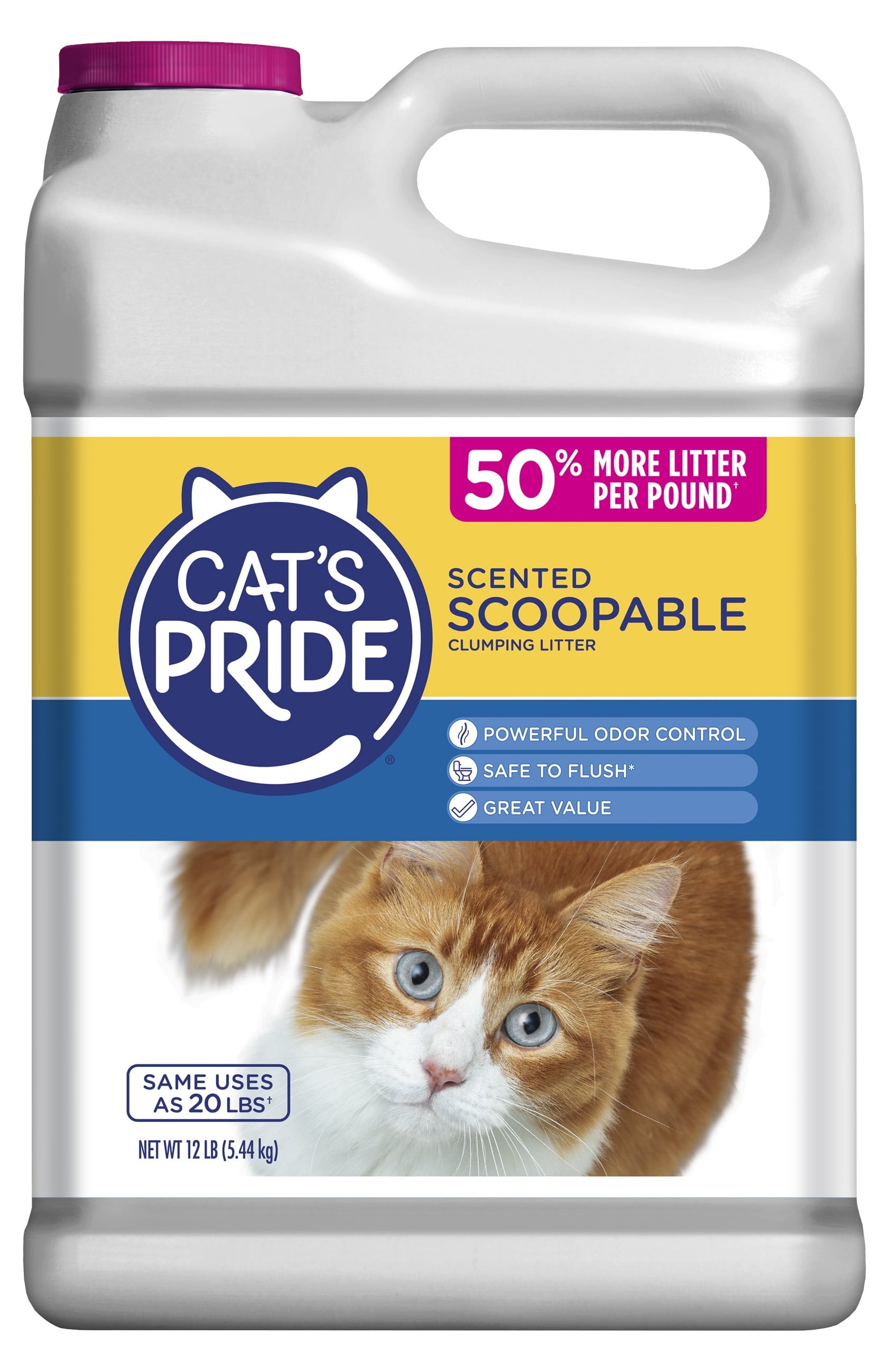 (2 Pack)  C01941-C60 10Lb Jug Cat Litter