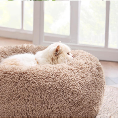 Calming Cat Beds for Indoor Cats - Small Cat Bed Washable 20 Inches, Anti-Slip round Fluffy Plush Faux Fur Pet Bed, Fits up to 15 Lbs Pets