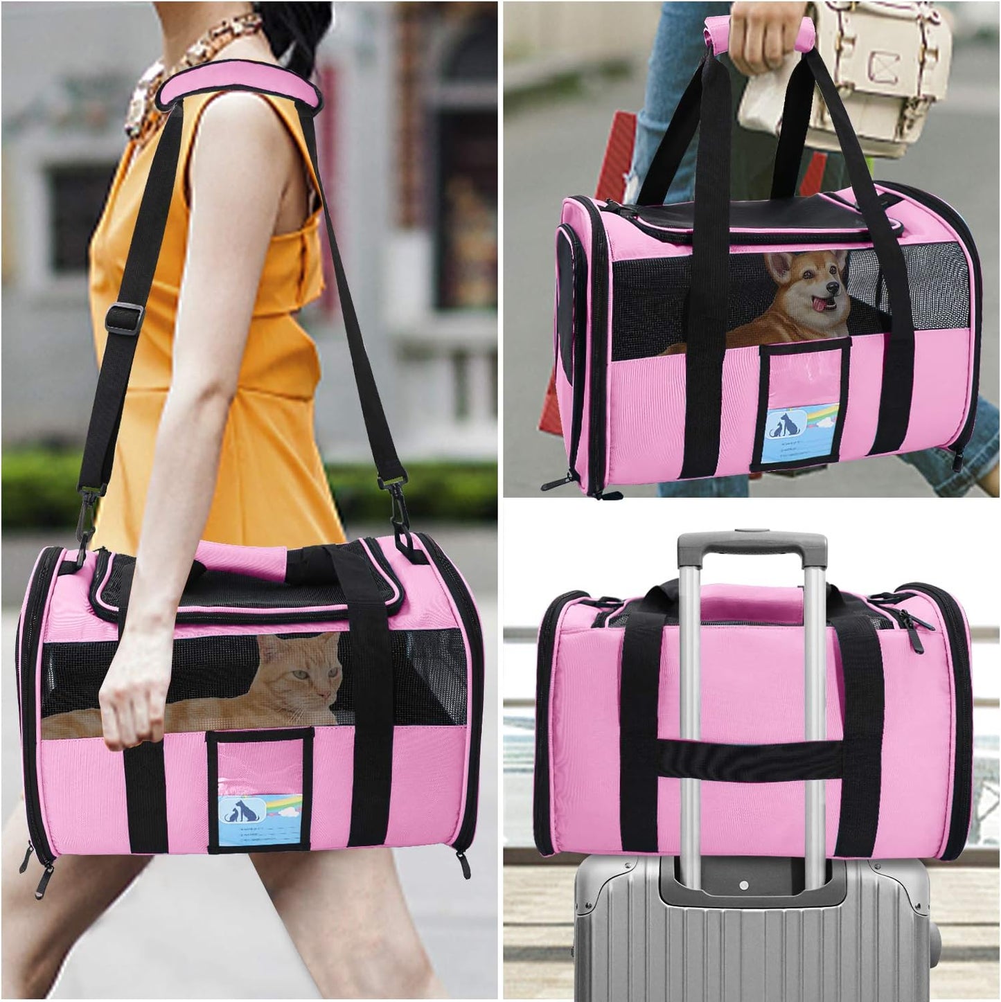 Cat Carriers for Medium Cats Small Cats