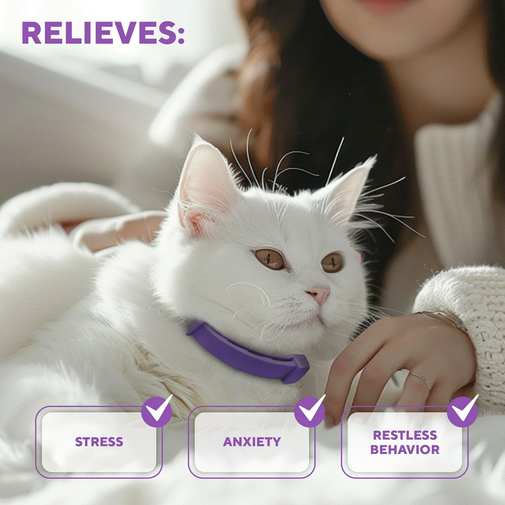 Cat Calming Collar - Cats Stress Relief Comfort, Helps with Pee, Aggression, Fighting with Dogs & Other Behavior