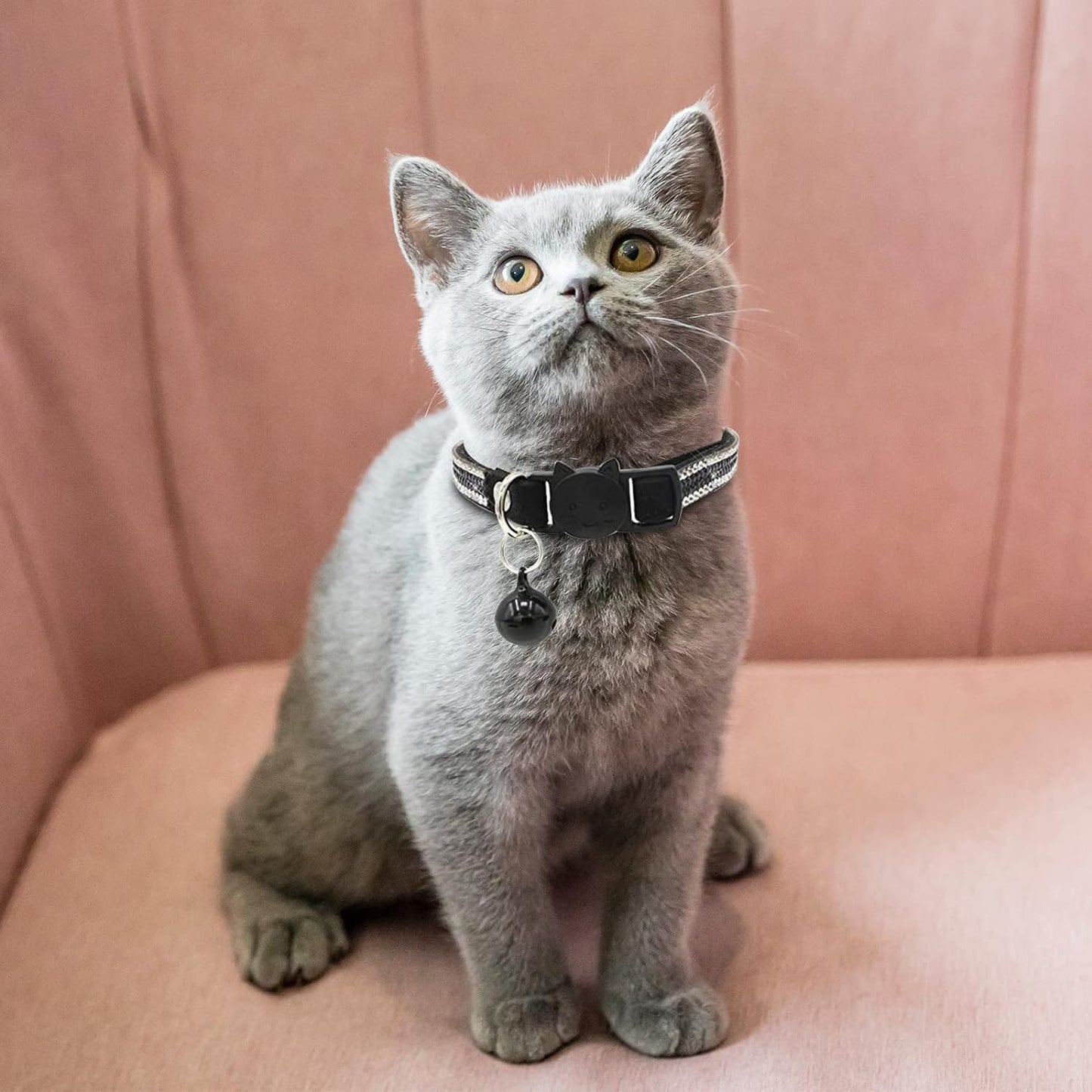 Breakaway Cat Collars  Adjustable Safe Cat Collar with Bell Velvet Kitty Collar for Cat Kitten Bling Rhinestone Girl Boy