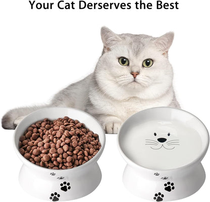 Cat Food Bowls, 10 OZ Elevated Cat Bowls for Cats, Tilted Pet Feeder Bowl with Raised Stand Protect Cat's Spine, Ceramic Cat Water Bowl No-Spill, Stress Free Cat Dish 1Pcs