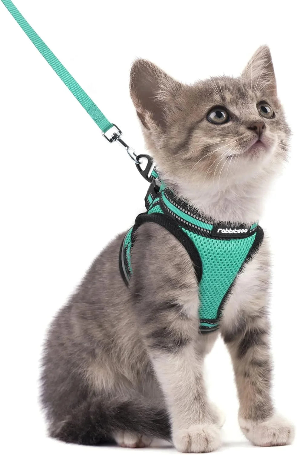 Cat Harness and Leash Set for Walking Escape Proof, Adjustable Soft Kittens Vest with Reflective Strip for Small Cats, Comfortable Outdoor Vest