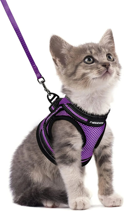 Cat Harness and Leash Set for Walking Escape Proof, Adjustable Soft Kittens Vest with Reflective Strip for Small Cats, Comfortable Outdoor Vest