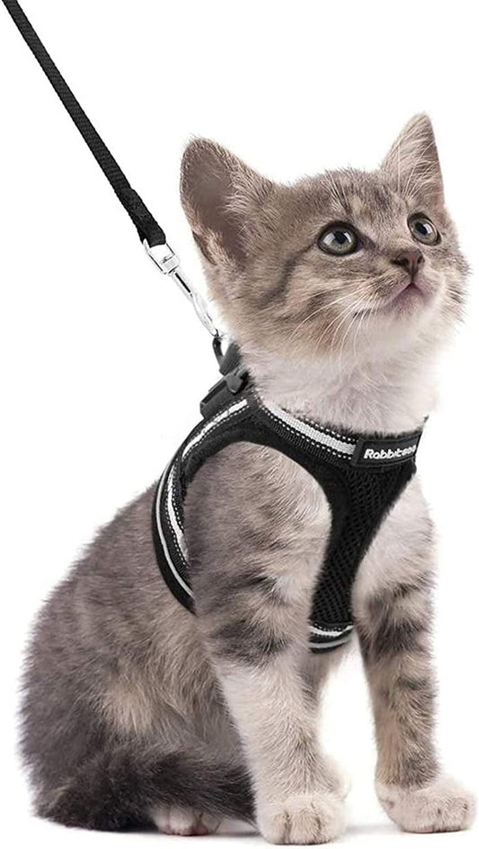 Cat Harness and Leash Set for Walking Escape Proof, Adjustable Soft Kittens Vest with Reflective Strip for Small Cats, Comfortable Outdoor Vest