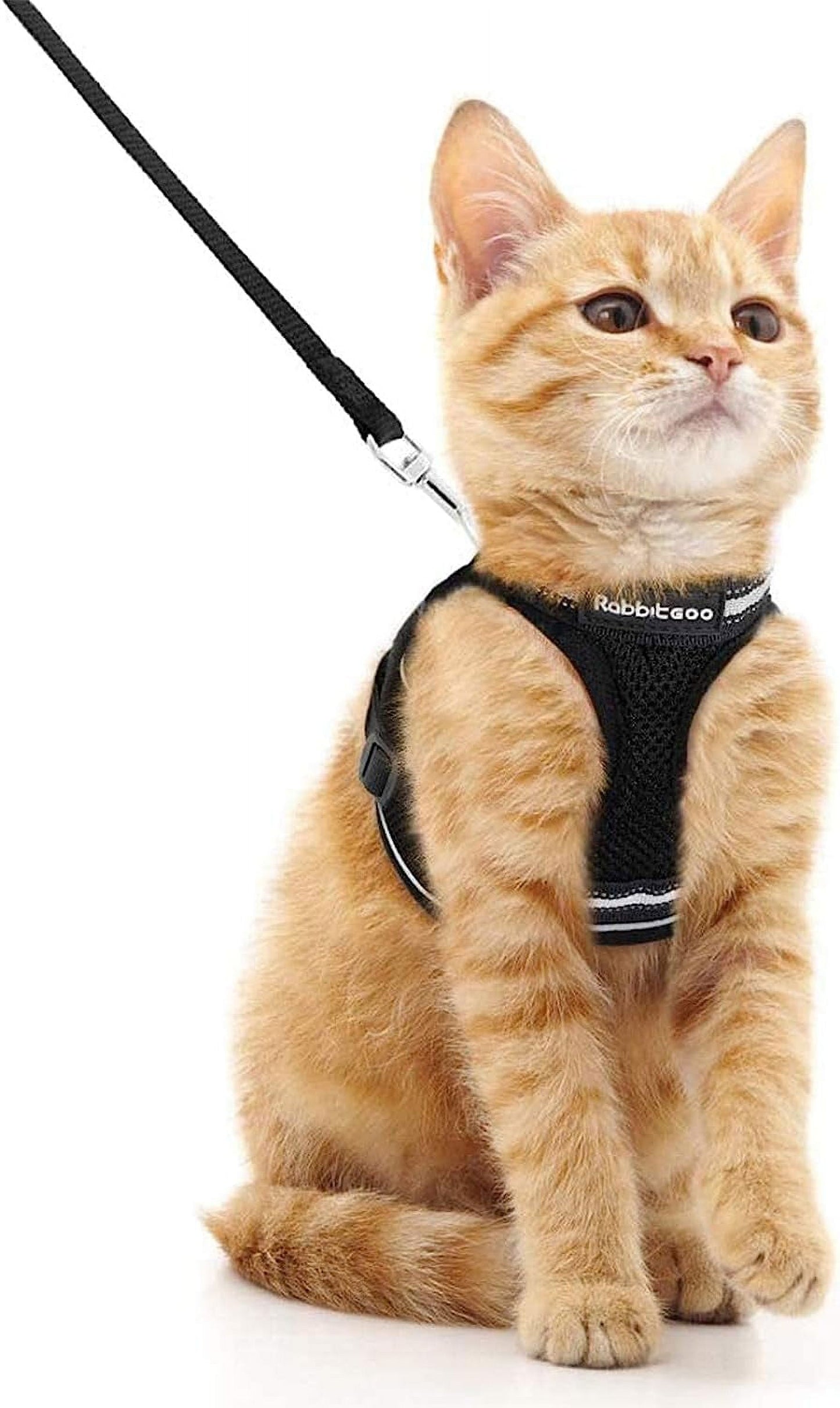 Cat Harness and Leash Set for Walking Escape Proof, Adjustable Soft Kittens Vest with Reflective Strip for Small Cats, Comfortable Outdoor Vest