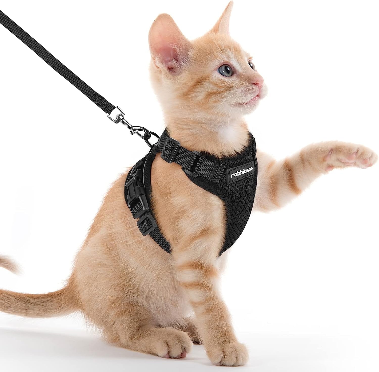 Cat Harness and Leash for Walking, Escape Proof Soft Adjustable Vest Harnesses for Cats, Easy Control Breathable Reflective Strips Jacket