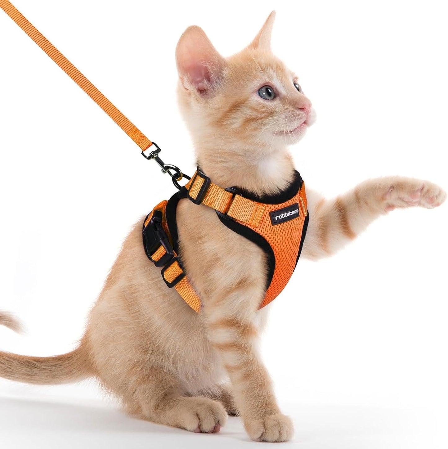 Cat Harness and Leash for Walking, Escape Proof Soft Adjustable Vest Harnesses for Cats, Easy Control Breathable Reflective Strips Jacket