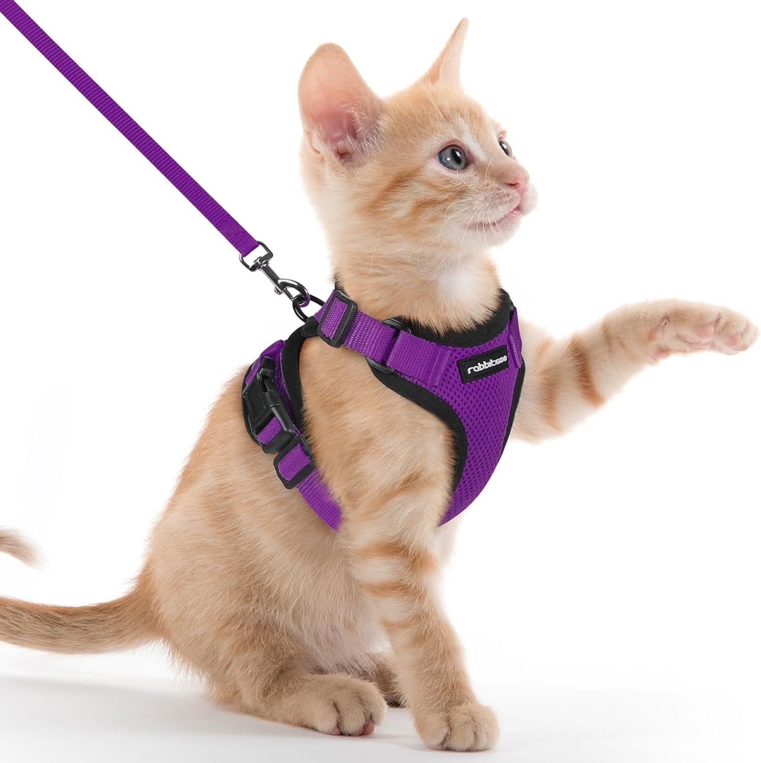 Cat Harness and Leash for Walking, Escape Proof Soft Adjustable Vest Harnesses for Cats, Easy Control Breathable Reflective Strips Jacket