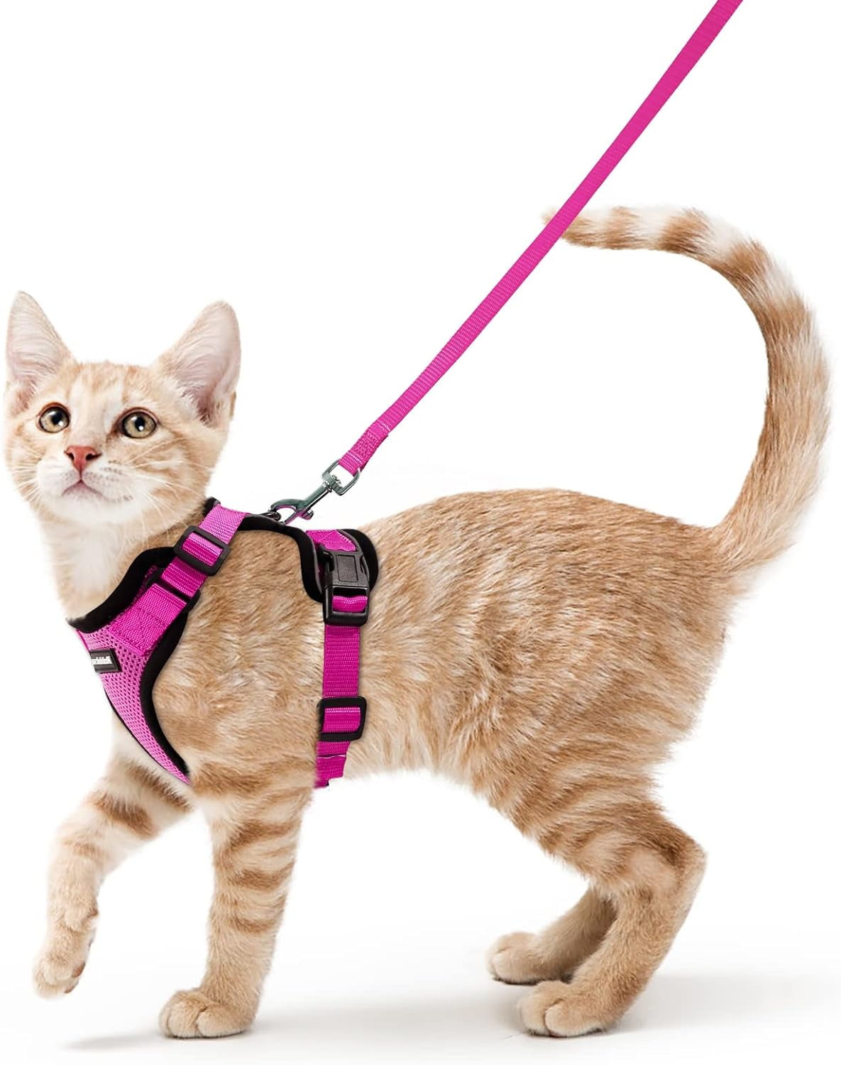 Cat Harness and Leash for Walking, Escape Proof Soft Adjustable Vest Harnesses for Cats, Easy Control Breathable Reflective Strips Jacket