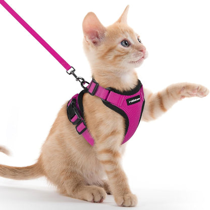 Cat Harness and Leash for Walking, Escape Proof Soft Adjustable Vest Harnesses for Cats, Easy Control Breathable Reflective Strips Jacket