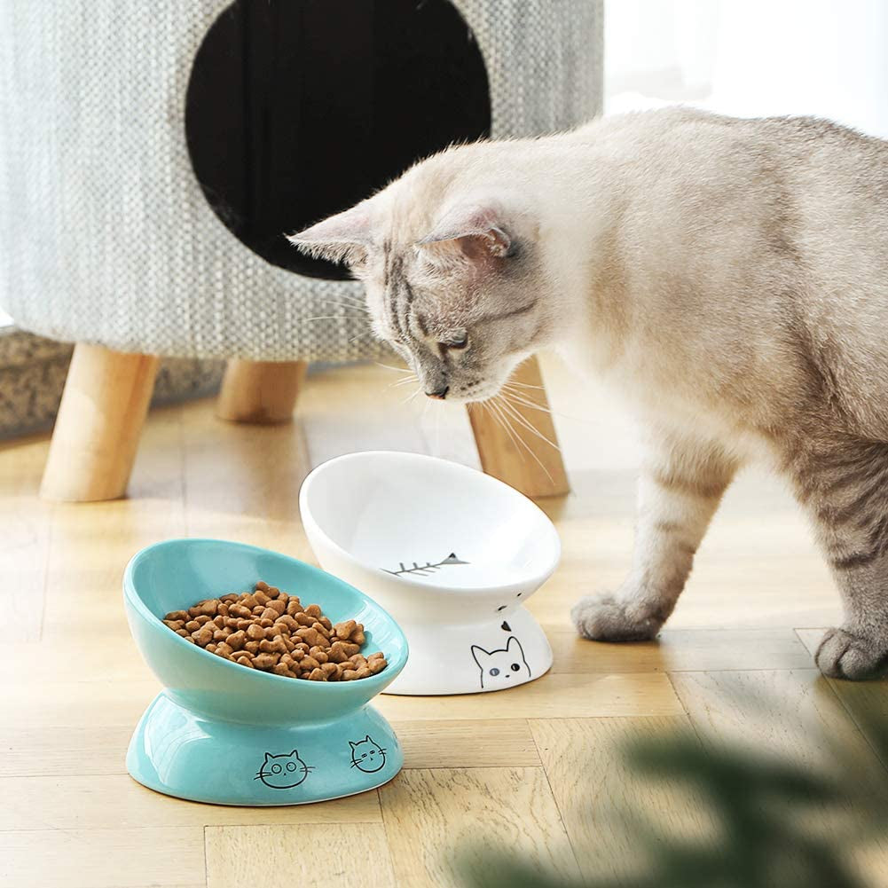 Ceramic Raised Cat Bowls, Slanted Cat Dish Food or Water Bowls, Elevated Porcelain Pet Feeder Bowl Protect Cat's Spine