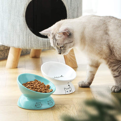 Ceramic Raised Cat Bowls, Slanted Cat Dish Food or Water Bowls, Elevated Porcelain Pet Feeder Bowl Protect Cat's Spine