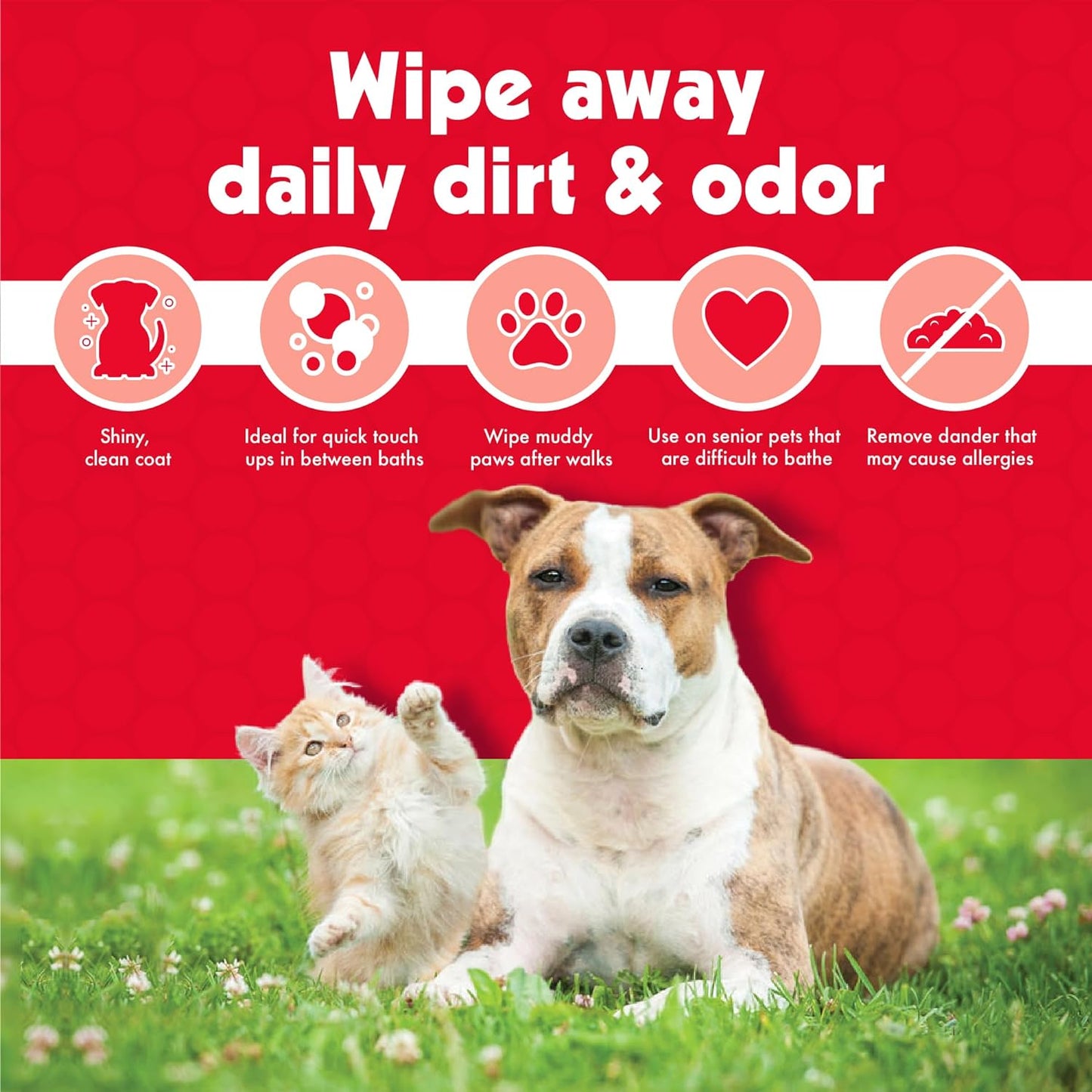 Pet Wipes for Cats, 200 Large Wipes - Removes Dirt & Odor like Washing Hands - Cleans Ears, Face, Butt, Eye Area - Convenient, Ideal for Home or Travel - 2 Packs of 100 Wipes